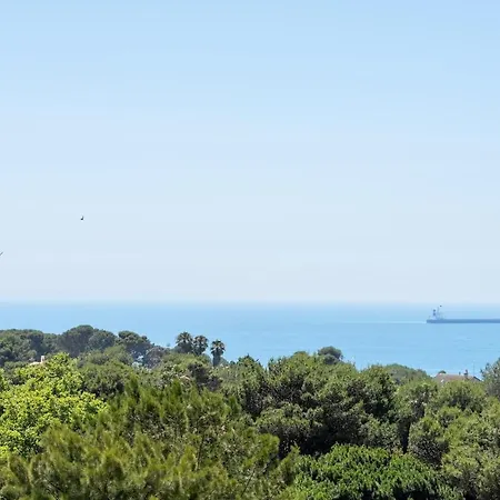 דירה With A View